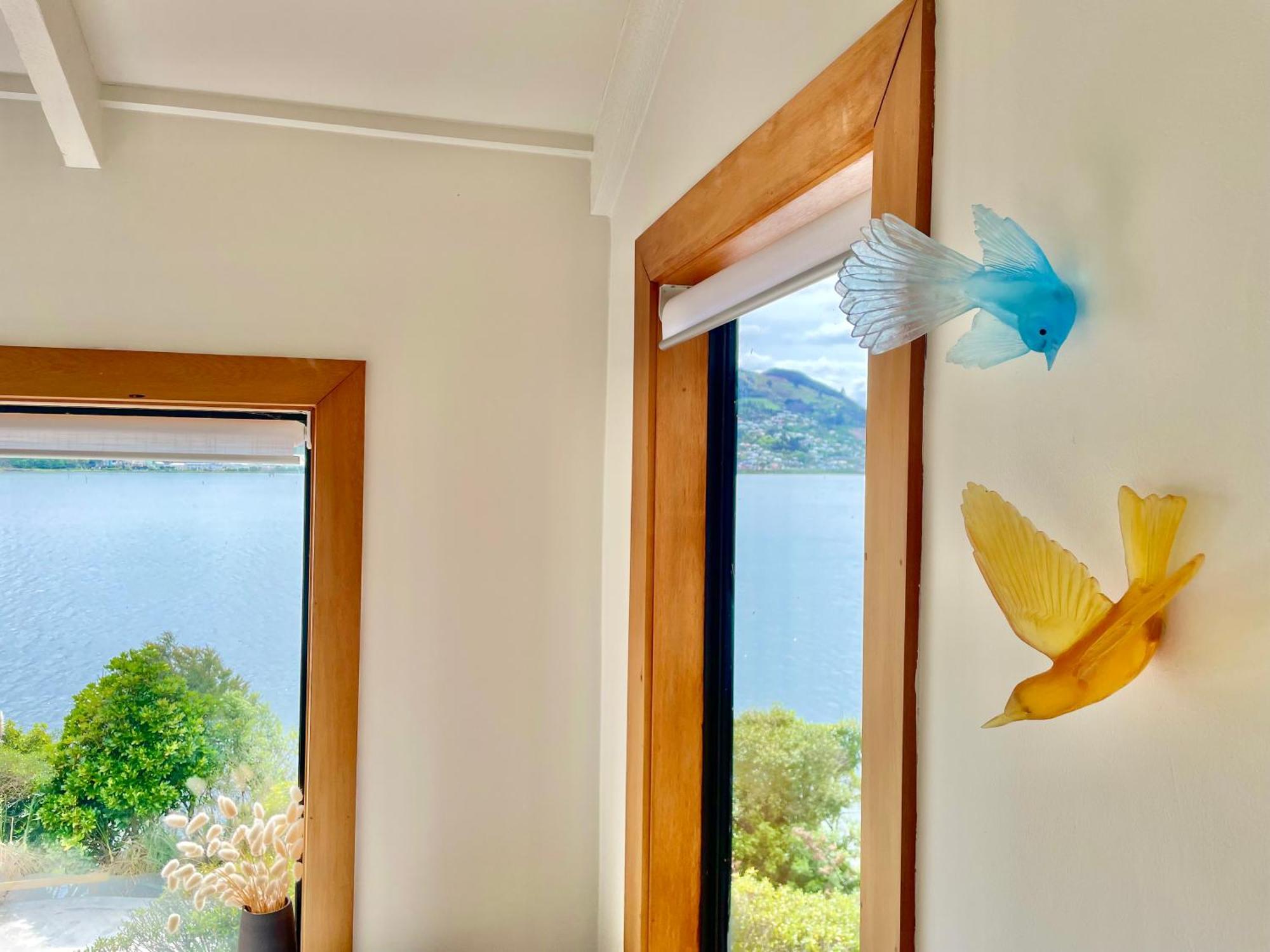 The Cove Cabin - Your Quiet Escape Dunedin Kültér fotó